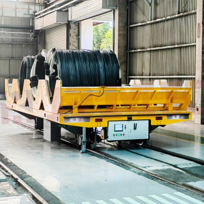 10 tonna moslashtirilgan V-kvadrat avtomatlashtirilgan RGV